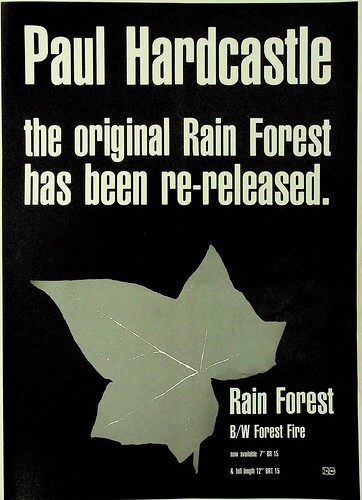 Paul hardcastle rain forest 1985