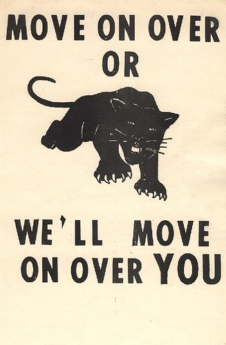 Black_Panthers_01