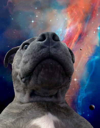 space-herbie