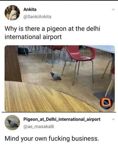 1000035212