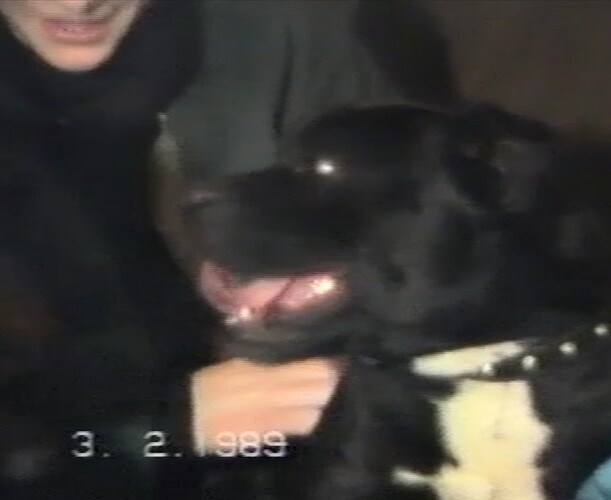 Screenshot_20230405_112840