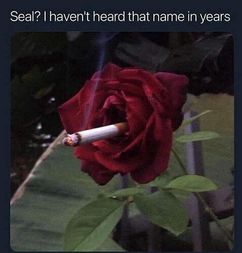 s0H5tyS
