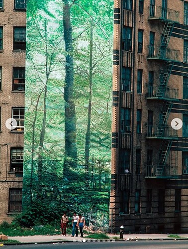 Screenshot_20250914_152848_Samsung Internet