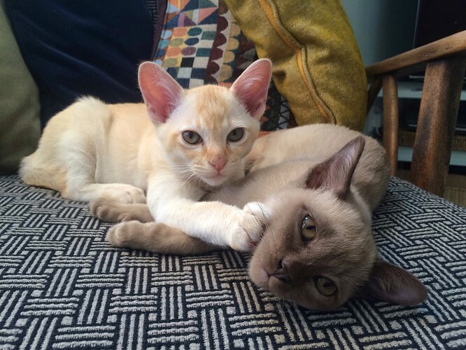 2016-05-23 08.36.24-3