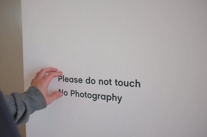 12113423_10153665082802387_3698931091911353869_o