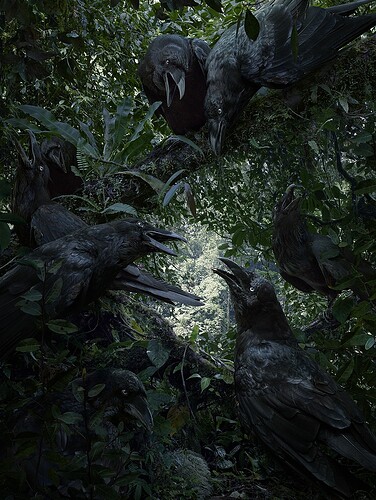doorofperception.com-Simen_Johan-Animals-08
