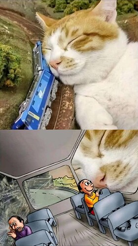 1000009690