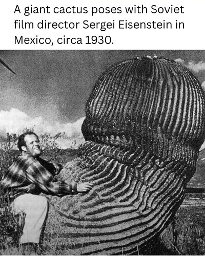 Screenshot_20260207_141519_Samsung Internet