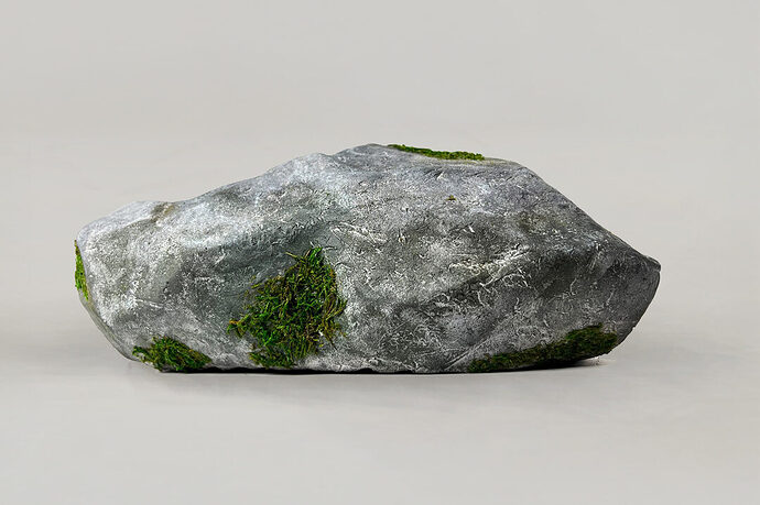 rockshoesideview-copy-e1748310157904