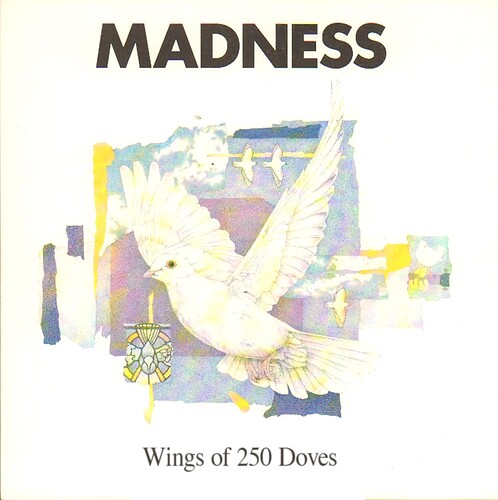 madness-wings-of-a-dove