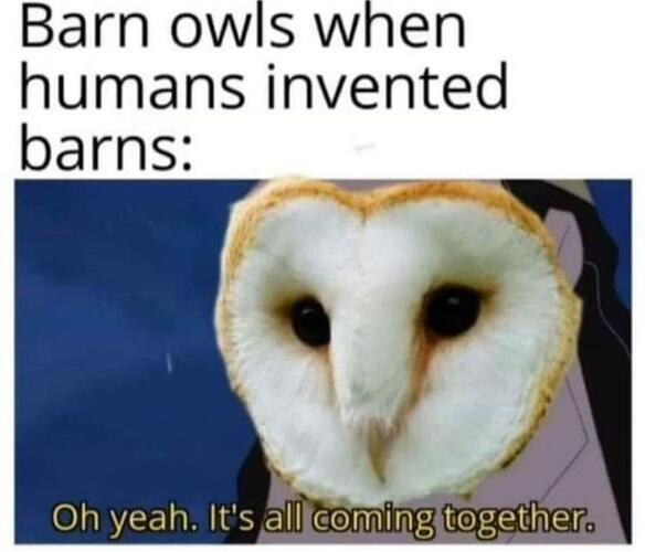 1000047237