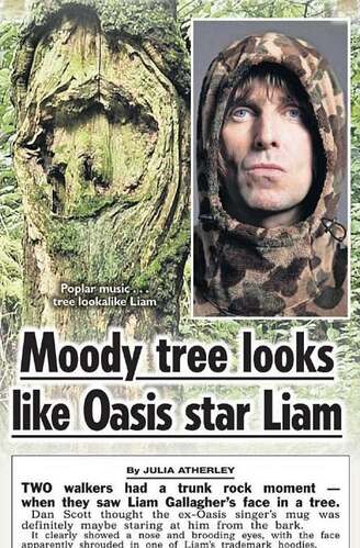 562341383_1955558035008669_7659999873947393478_n