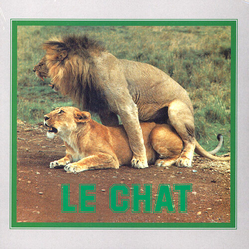 le chat
