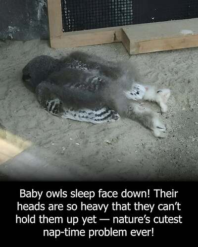 566230240_10231385445287976_5591126452903766663_n