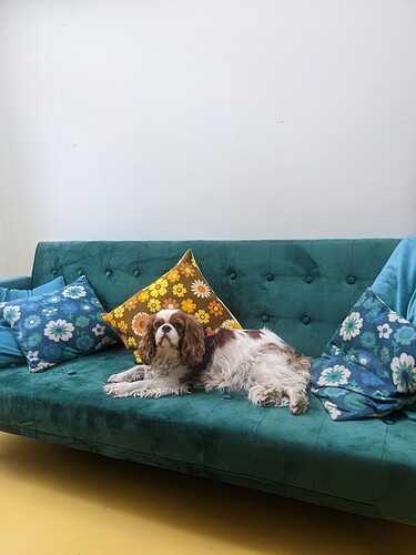 PXL_20220324_165349219