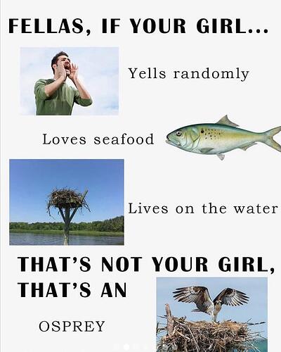 1000029517