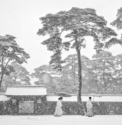 Screenshot_20260208_231952_Samsung Internet