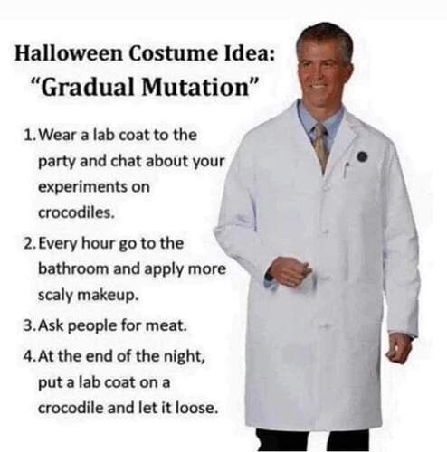 FB_IMG_1698613376361
