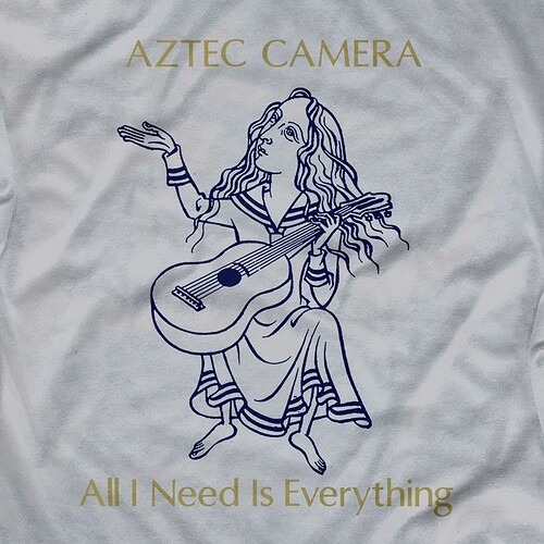 aztec-camera-tee-detail