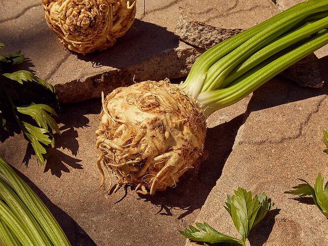 Best-Health-Mag-Eat-More-Celeriac-HI-RES-copy
