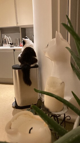 84A04F59-E5CB-4776-B569-283D84AE08D6