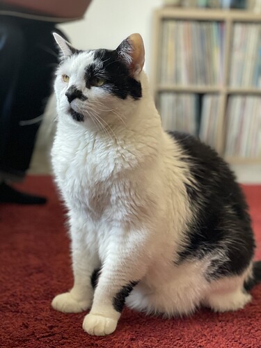 Monty