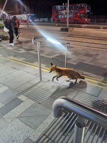 PXL_20240322_200133760