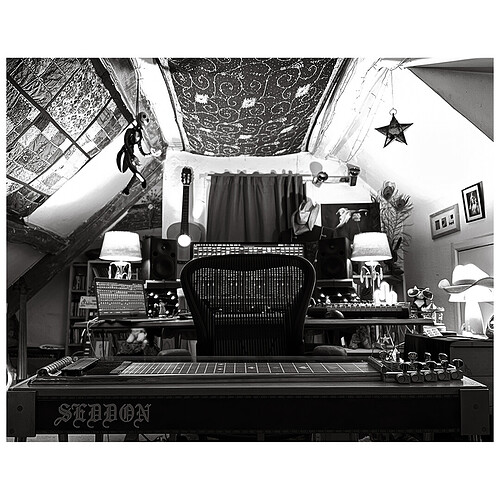 Pedal Steel Studio B & W 1080 x 1080