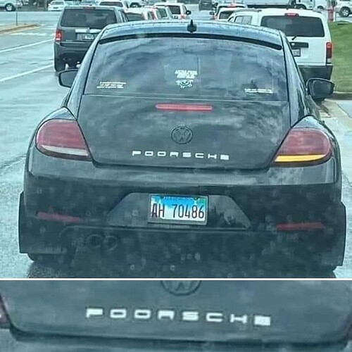 421931074_385189154115044_5706591605188809238_n