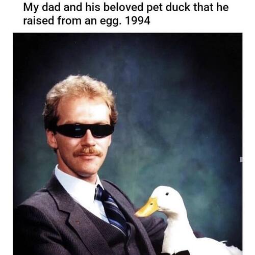 331953025_5963485687099608_438288196165258653_n