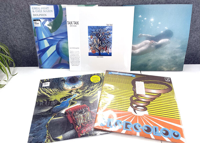 rekkids