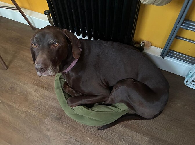 Screenshot 2026-02-04 at 21.56.28