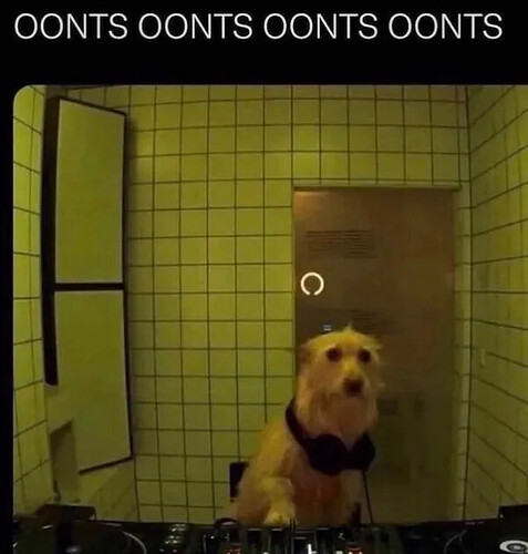 a3fa60dd7e10d19dd50b5ad8c8fca40336db9912_2_477x500