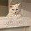 Sandy_Marton